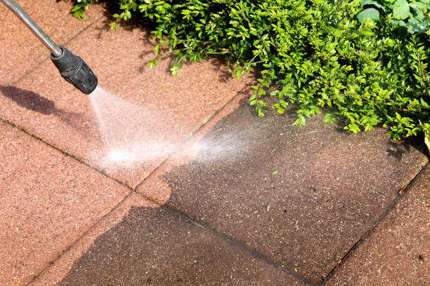 Best Affordable Pressure Washing  in Catlettsburg, KY